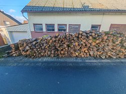 HONOR (8).jpg