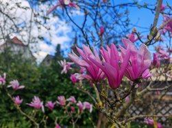 IMG_20240405_163424.jpg