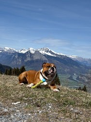 IMG_20240405_132332_1.jpg