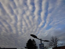 20240406_080457.JPG