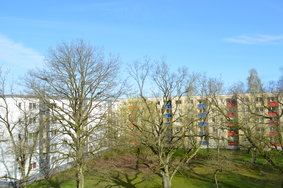 Nikon 24 MP.JPG