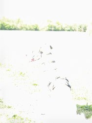 20240406_120445.jpg
