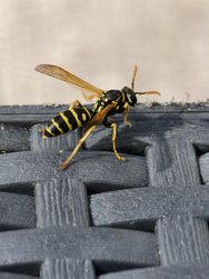 IMG_20240406_154625.jpg