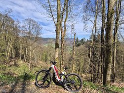 Bikerunde01.jpg