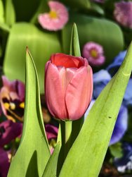 IMG_20240405_101858.jpg