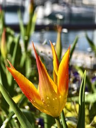 IMG_20240405_105523.jpg