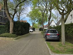 12 mp standard.jpg