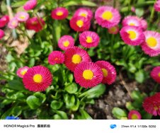 IMG_20240407_143241.jpg