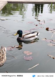 IMG_20240407_143057.jpg