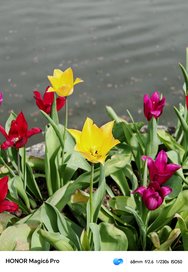 IMG_20240407_134250.jpg
