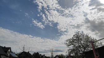 IMG_20240407_150745.jpg