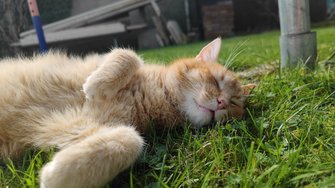 IMG_20240407_152312.jpg