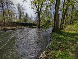 IMG_20240407_120734.jpg