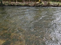 IMG_20240407_120724.jpg