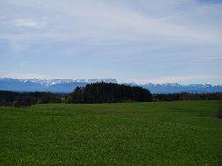 IMG_20240406_113415.jpg