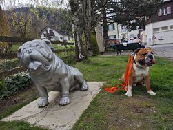 IMG_20240407_130006.jpg
