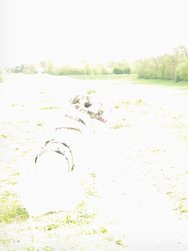 20240407_105639.jpg