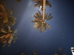 IMG20240318200004.jpg IMG20240318200004.jpg