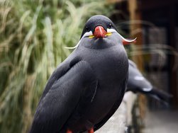 IMG_20240408_162517.jpg