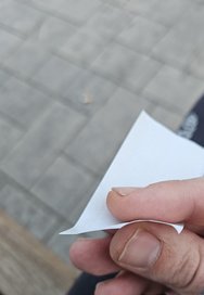 20240408_195310.jpg