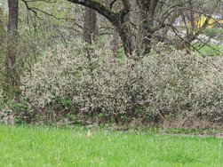 IMG_20240402_142006.jpg