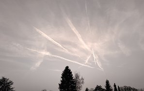 8.4.2024, 19.30.jpg