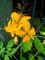 IMG_20240408_111945.jpg