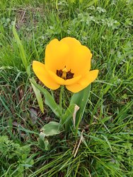 IMG_20240408_175802.jpg