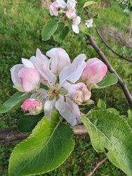 IMG_20240408_180348.jpg