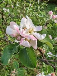 IMG_20240408_180455.jpg