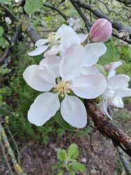 IMG_20240408_183101.jpg