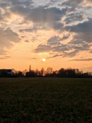 01.Honor-IMG_20240307.jpg
