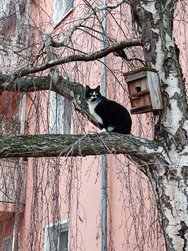 03.Honor-IMG_20240307.jpg