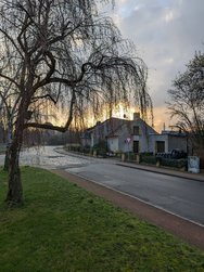 04.Gcam-AGC_20240307.jpg