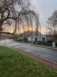 04.Honor-IMG_20240307.jpg
