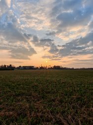 06.Honor-IMG_20240307.jpg