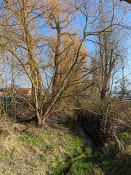 09.Gcam-AGC_20240306.jpg