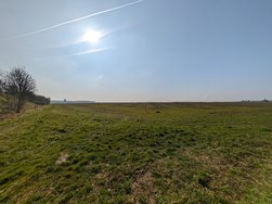 10.Gcam-AGC_20240306.jpg