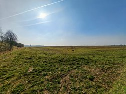 10.Honor-IMG_20240306.jpg