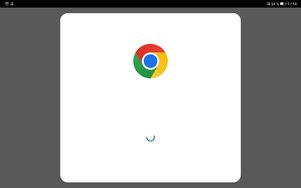 Screenshot_20240409_171436_com.chrome.beta.jpg