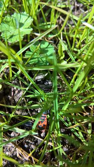 WP_20240330_11_22_32_Rich_LI.jpg