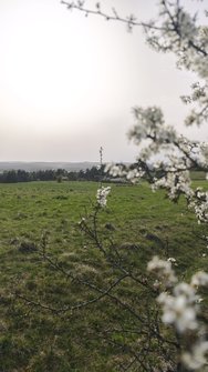 IMG_20240408_174706.jpg