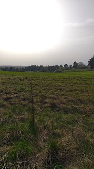 IMG_20240408_174311.jpg