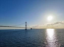 IMG_20240407_182649.jpg
