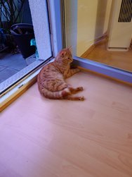 20240409_201605.JPG
