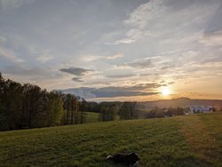 PXL_20240410_172731668.jpg