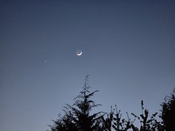 20240410_210650.jpg