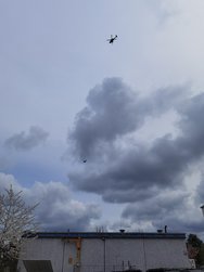 IMG_20240410_130201.jpg