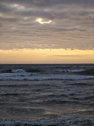 1000022005.jpg