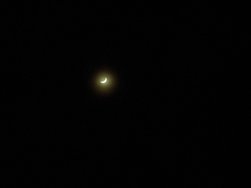 IMG_20240411_223709.jpg